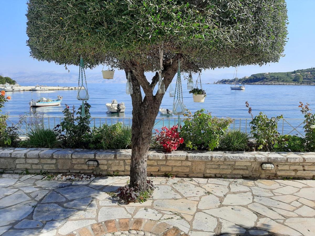Imerolia Beach Villa Kassiopi Corfu المظهر الخارجي الصورة